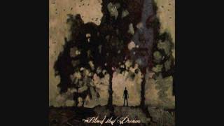 Watch Bleed The Dream Black Skys video
