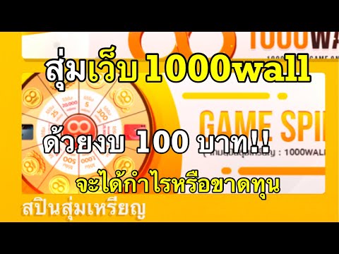 สุ่มเว็บ 1000wall.net ด้วยงบ100บาท จะได้กำไรหรือขาดทุน ดูเลย!!