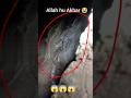 Allah Hu Akbar ||| Qabar ka Azab Whatsapp Status Video #shorts #trending #tiktok #youtubeshorts #yt