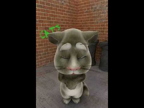 Northern Talking Tom - Moaning Again
