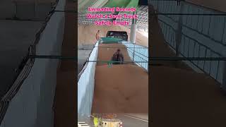 Unloading Secrets Watch A Semi Truck Safely Empty Hundreds Of Bushels Of Grain