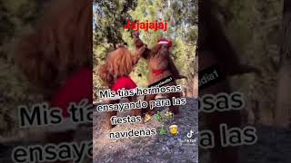 19 De Marzo De 2022