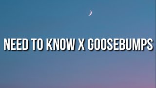 doja cat x travis scott - need to know x goosebumps (Lyrics) [tiktok song]