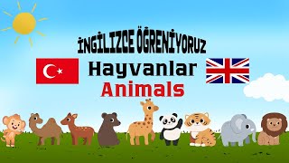 Hayvan İsimleri Öğreniyoruz Türkçe-İngilizce Eğitici Video