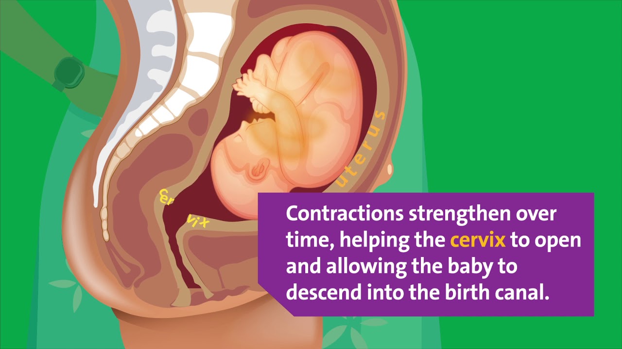 Contractions licking