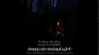 Watch Moss Of Moonlight Follow The Owl video