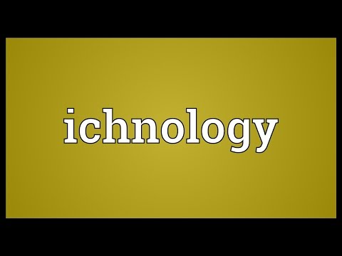 Header of ichnology
