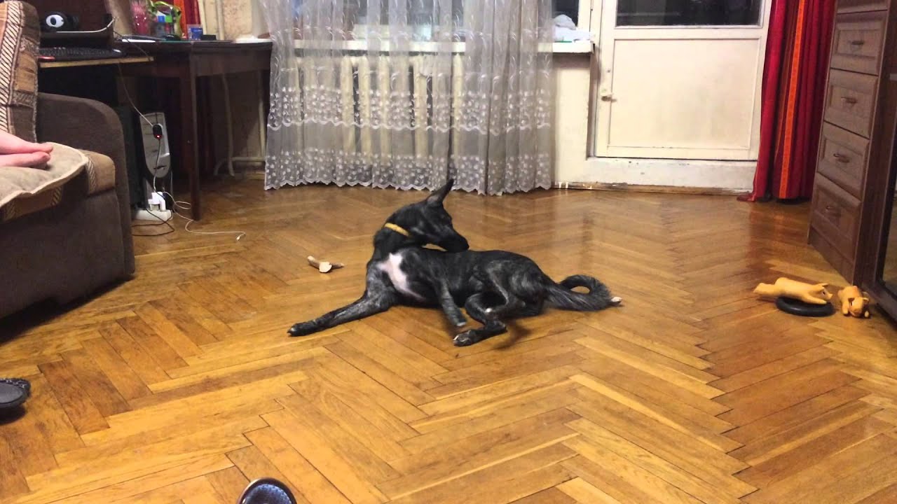 Смотреть онлайн видео с пожилым