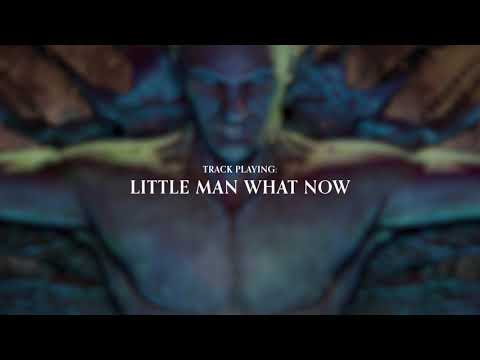 Little Man What Now Video