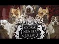 Cosa Nostra Bullyz Studs