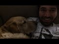 Adorable Doggy Snoring