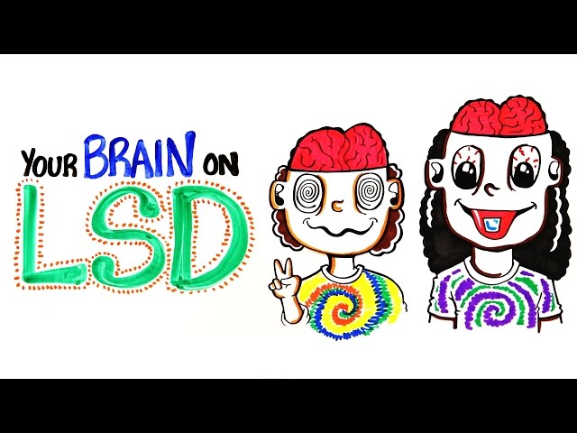 What Happens With Your Brain On LSD And Acid? - Video