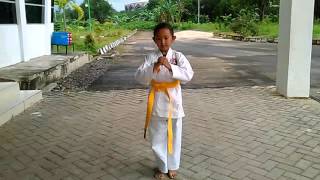 Kata Jion Karate inkanas