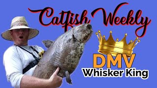 Catfish Weekly 370 With Guest DMV