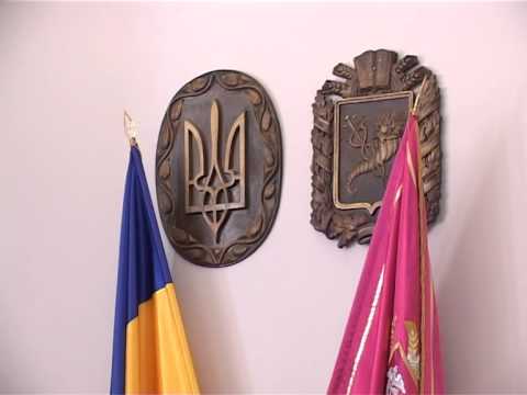 Харьковская ОГА стала фан-клубом Беркута