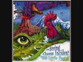 String Cheese Incident - Cedar Laurels