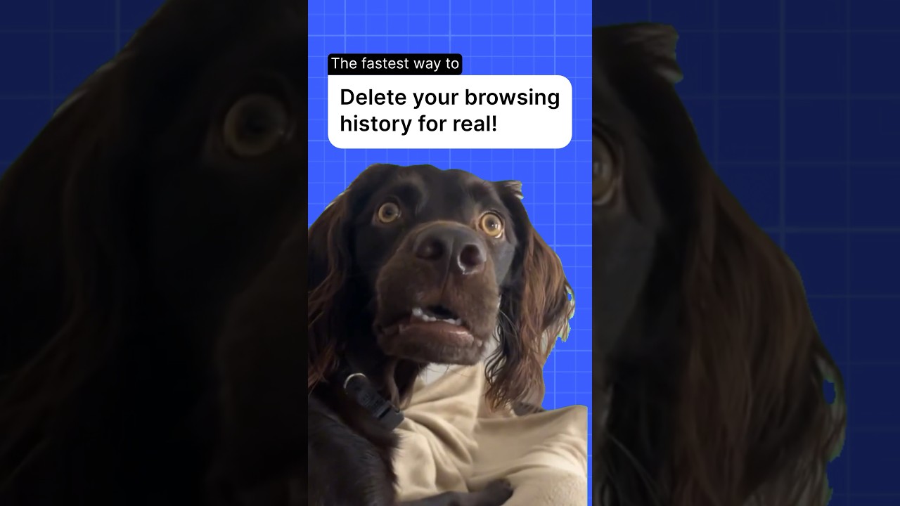 How to delete your Google browsing history #Shorts How to delete your Google browsing history #Shorts