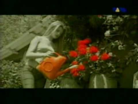 VIDEO DE VALLENATO DE BINOMIO DE ORO video de vallenato de binomio de oro: