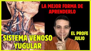 Drenaje Venoso De Cabeza Y Cuello Vena Yugular Interna, Yugular Externa, Tronco Braquiocefálico