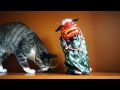 猫と獅子舞 - Ohagi and Shishimai -