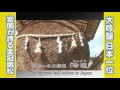 岩国市の観光ビデオ 錦帯橋や白崎八幡宮等の紹介