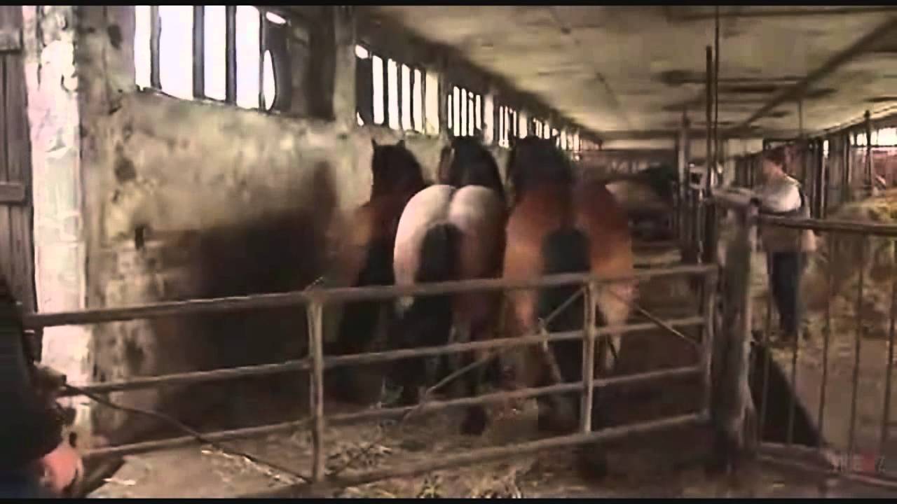 Секс подростков на ферме в сарае