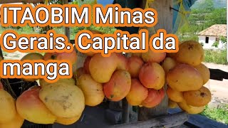ITAOBIM. Minas Gerais. Capital da manga
