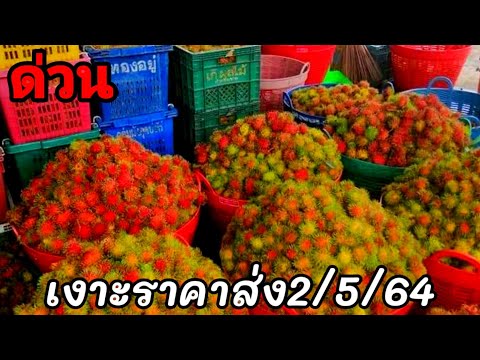🔴เงาะราคาส่งถูกตลาดปากแซงจันทบุรี/ผลไม้ราคาส่ง/ผลไม้ตามฤดูกาล/yutthapongchanal