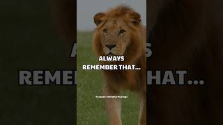 Sigma Rule I Whatsapp Status I Always Remember