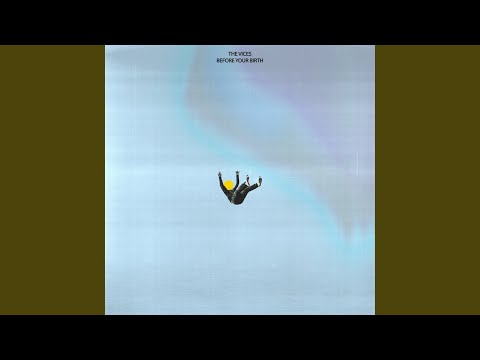 The Vices - Before Your Birth