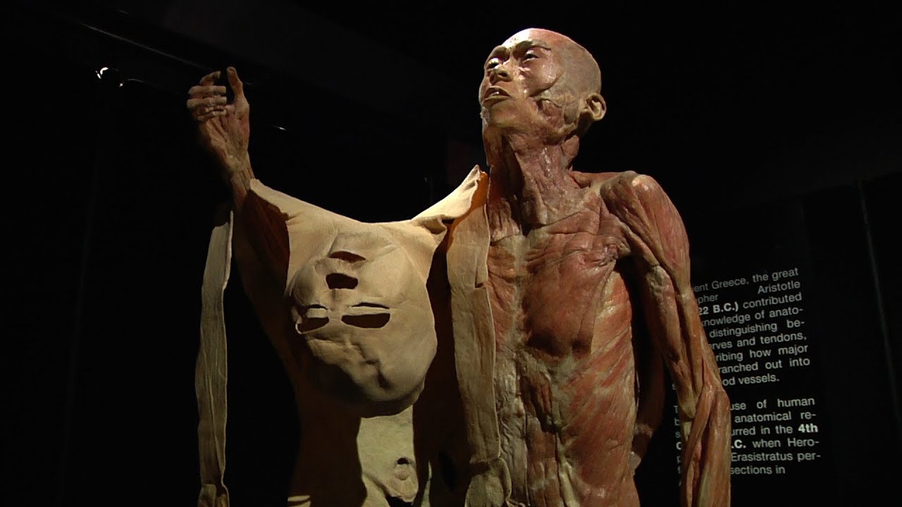 Our Body: The Universe Within [SIV264] - YouTube