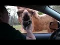 Hump Day Mike Mike Mike images Hump Day Mike Mike Mike
