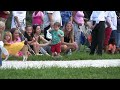 DFL 8th Annual Canine Costume Parade