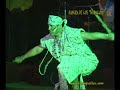 DANZAS SELVATICAS