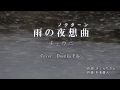 雨の夜想曲（ノクターン） / チェウニ　Cover：Doenka Eiko