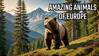 Animals Of Europe - Incredible Wildlife