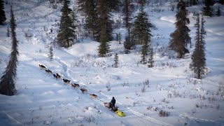 Inside The 51St Iditarod The Meaning Behind The Last Great Race On Earth