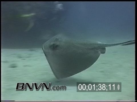 5/4/2002 Dry Tortugas, FL scuba diving footage outside TER