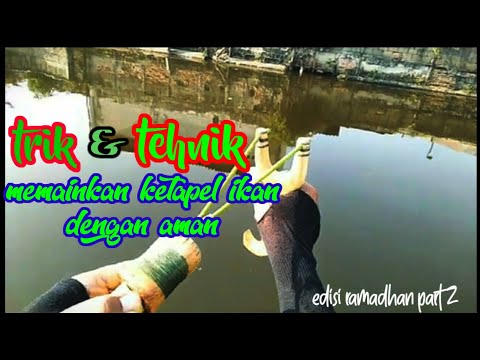 Teknik Memainkan Ketapel Ikan Agar Aman Di Tangan