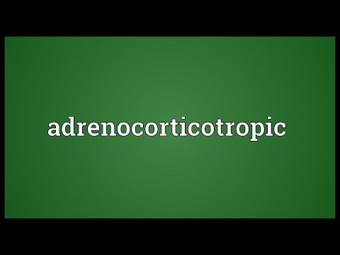 Header of adrenocorticotropic