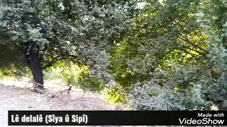 Lê Delalê Sîya Û Sipî Reş Û Sipî