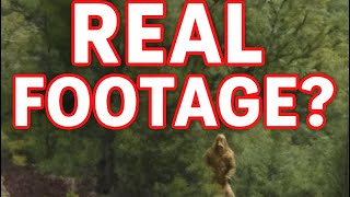 Bigfoot Caught On Camera On The Colorado River Real Footage By River Guides