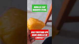 Mangga Isap Namanya Di Kota Luwuk