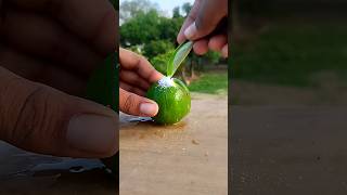 Khatta Meetha Lemon Masala
