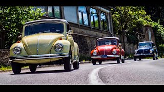 3 Vw Convertibles 3 Colors 3 Years