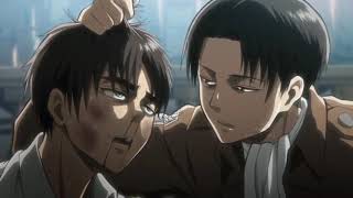 Levi Editing Base Twixtor