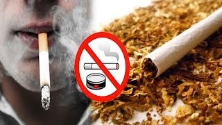 Ban Smoking Essay