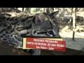 Adelanto FIESTAS ARGENTINAS 2-8-2014