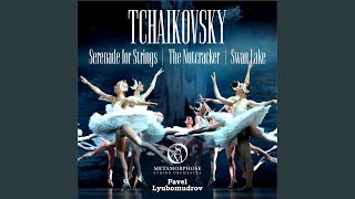 The Nutcracker Suite Op 71a No 2a March Of The Toy Soldiers The Nutcracker Suite Op 71a No 2a March Of The Toy Soldiers