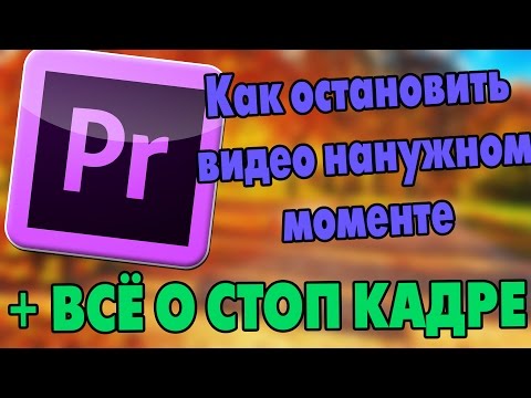 Как сделать превью premiere pro Как сделать превью premiere pro